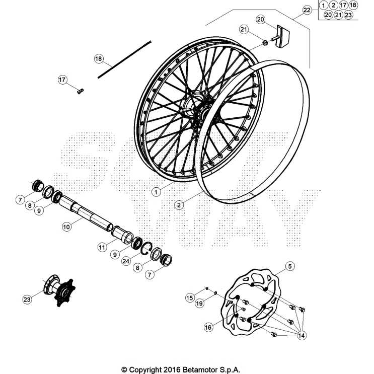ROUE AV. 250 XTRAINER 2025